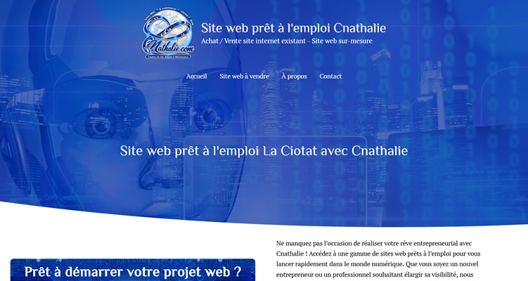Site internet prêt à l’emploi à vendre