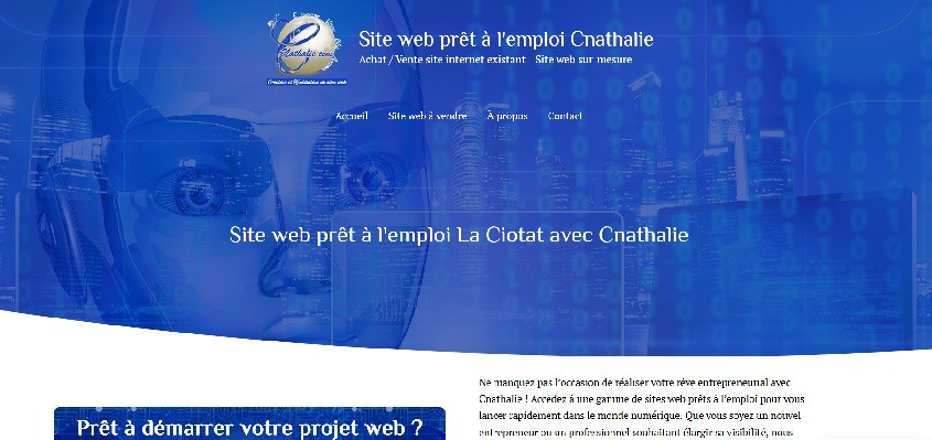 Site internet prêt à l’emploi à vendre